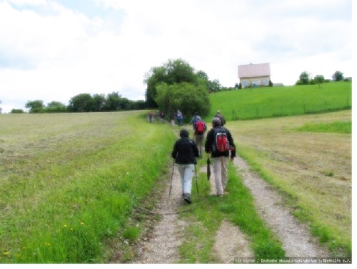 Wanderergruppe auf Weg inmitten grüner Wiesen, Haus auf dem Berg